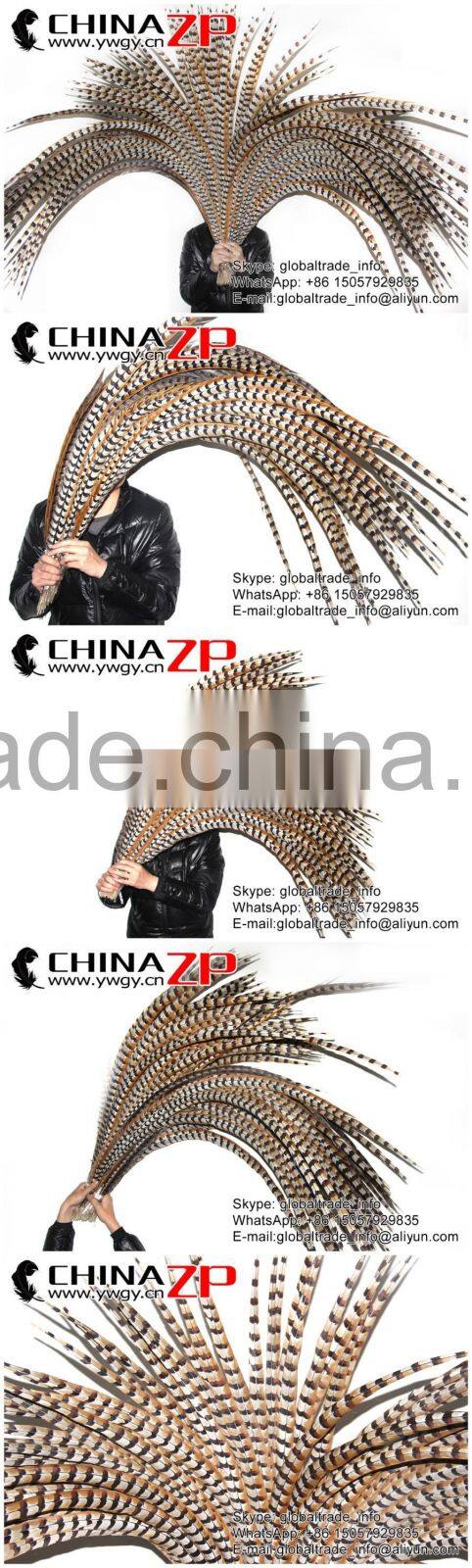 CHINAZP Bulk Sale Selected Prime Quality Natural 5-10cm Size Reeves Venery Pheasant Feathers for DIY Decorations