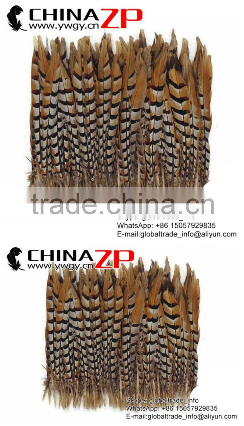Leading Supplier CHINAZP Bulk Sale Good Quality 35-40cm Length Raw Natural Reeves Venery Pheasant Tail Feathers
