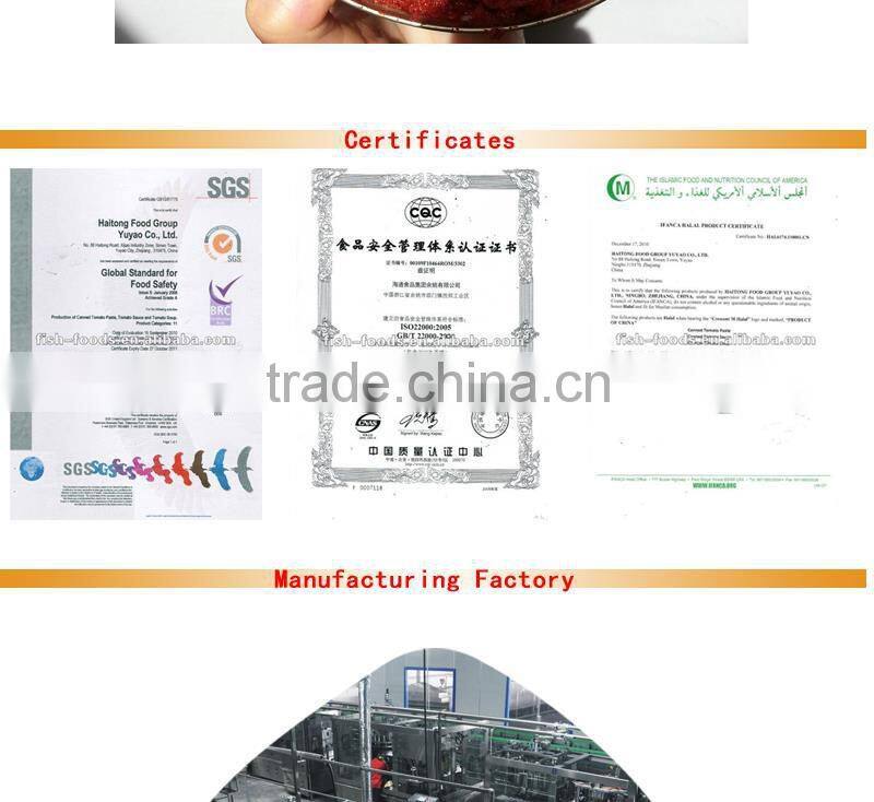 Tomato paste machine for good quality paste 2200gX6tins