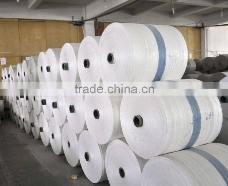 Professional Colorful PP Woven Fabric with High Quantity/pp sack