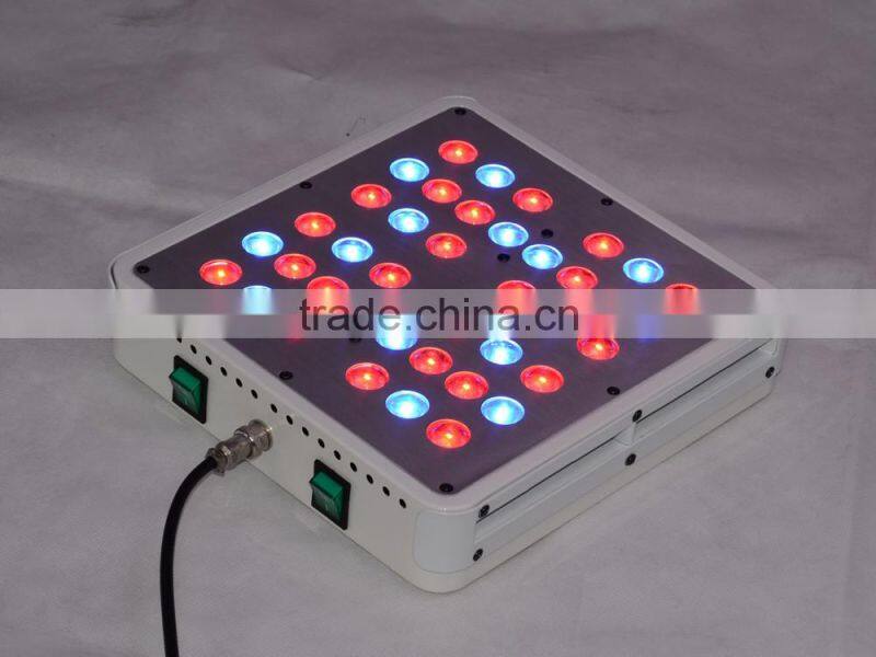 New apollo4 40*5w 200w Red Blue Indoor Plant Grow Light Hanging Light for Garden Greenhouse and Hydroponic Aquatic