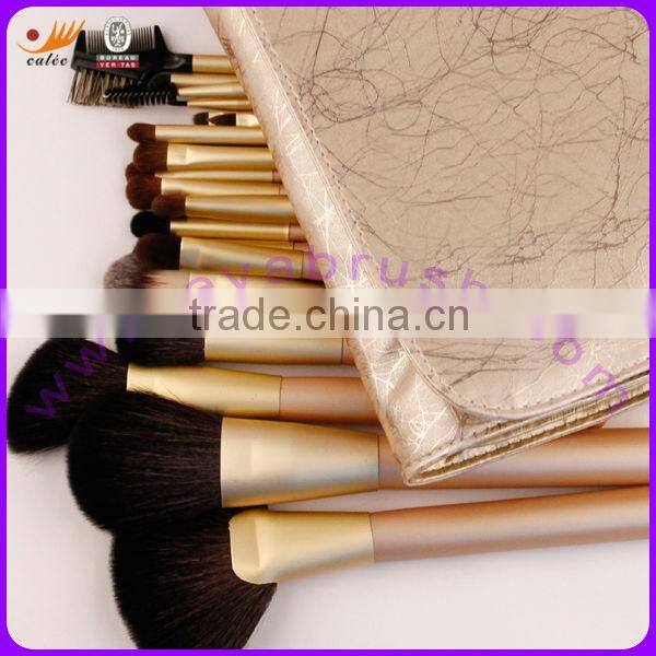 Professional Cosmetic Brush Set With 21Pcs