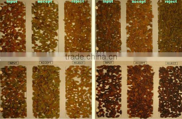 Best sell High output seven chutes CE certificated VSEE Raisin ccd color sorter