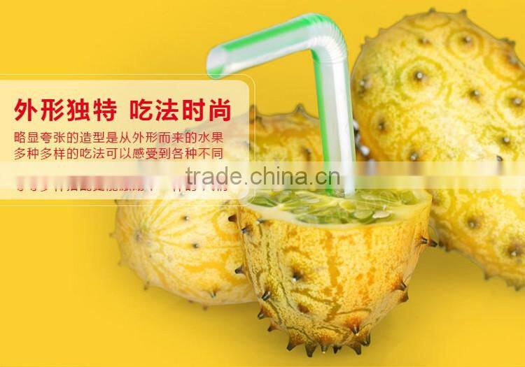 Kewana seeds Jelly Melon Seeds The horned Melon For Growing