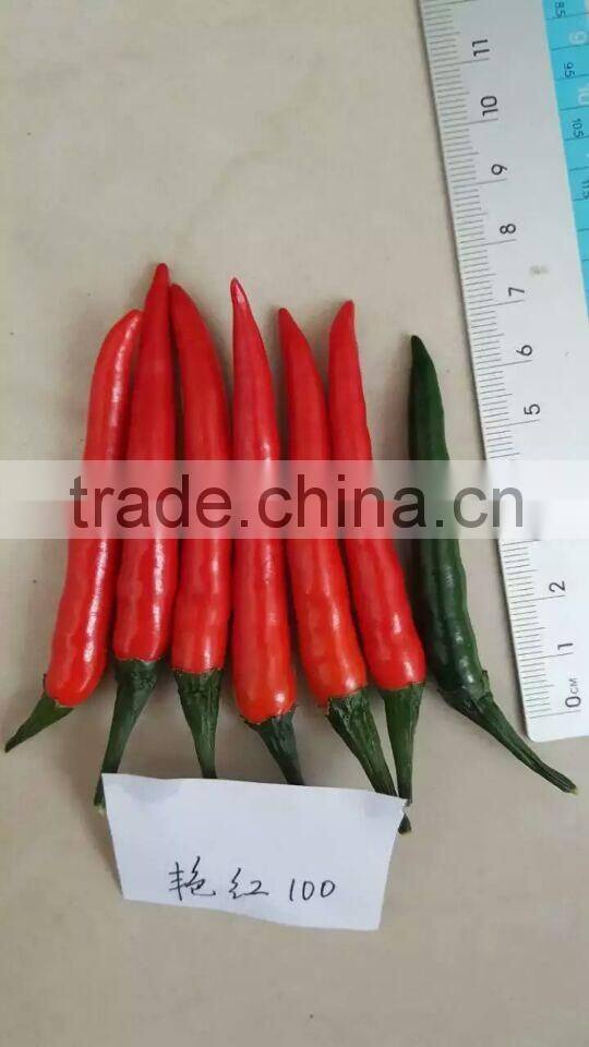 Hybrid F1 Red Hot Pepper Seeds Chili Seeds For Sale-Brightness Red 100