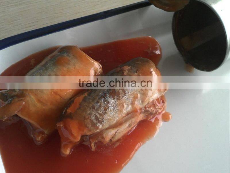 Canned mackerel Fish