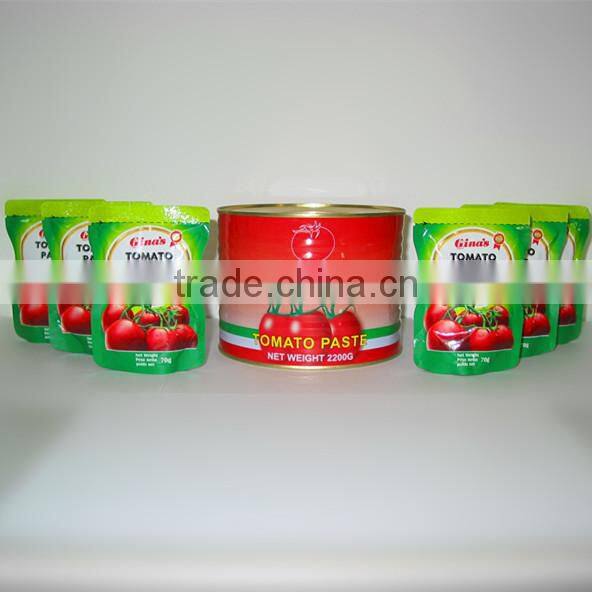 chinese good supplier Canned And Sachet tomato sauce tomato past halal food oem brand