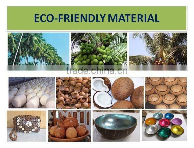 Nice design coconut shell bowl with eggshell outside, wholesale bowl from Vietnam