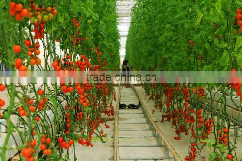 Greenhouse Drip Irrigation Curved Arrow Dripper