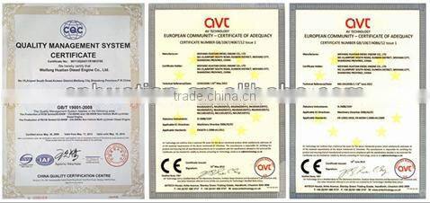 90kw /1500rpm Diesel Engine Generator R6105AZD for sale