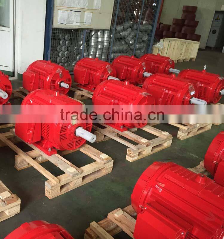 UL LISTED NEMA ODP STANDARD 250 IE1 FIRE MOTOR (TDC449T250U4B)