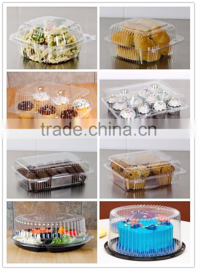 Square Clear Hinged Clamshell Type Plastic StayLock Medium Food Container for Salad, Muffins, Cake, Pastry and Fruit Packaging