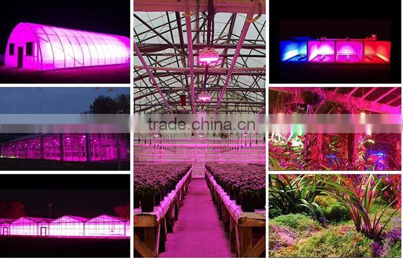 grow light 150w vanq indoor led Plant lamp full specturm cob led