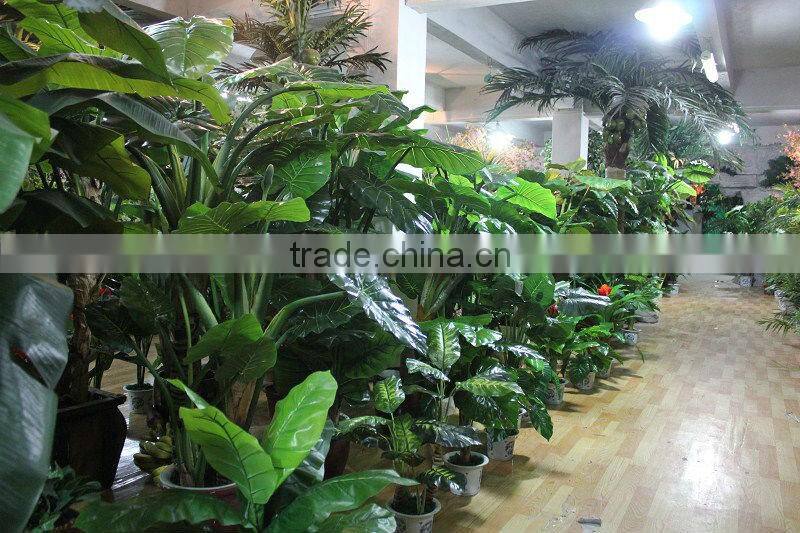 HHX020311 plastic plant wall artificial hedge wall vertical garden green wall