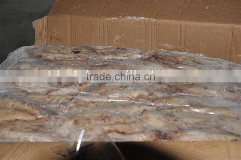 Frozen bonito tuna loin (sarda sarda)