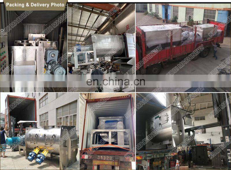 WLDH Seres Ribbon Blender Mixer For Powder