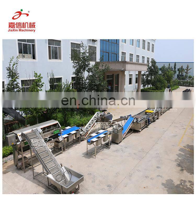 Hot sale mushroom washing cutting processing line
