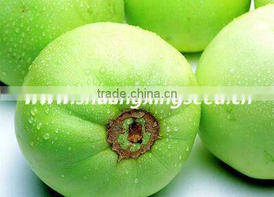 planting sweet melon hybrid seed f1