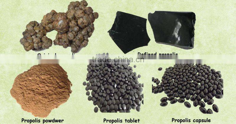 Bee Propolis Powder for sale| Offer Propolis Products