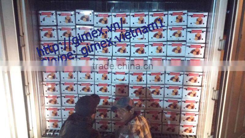 JAPAN YELLOW SWEET POTATO