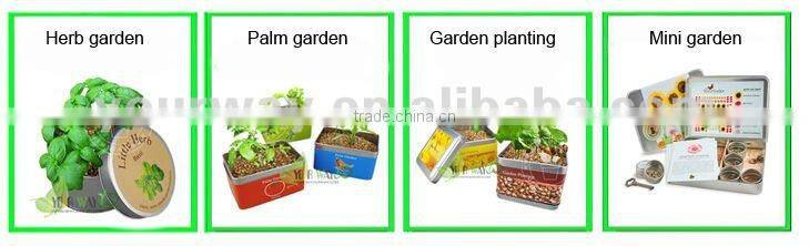 Mini Pyramid Garden, Flower Garden,Sunflower