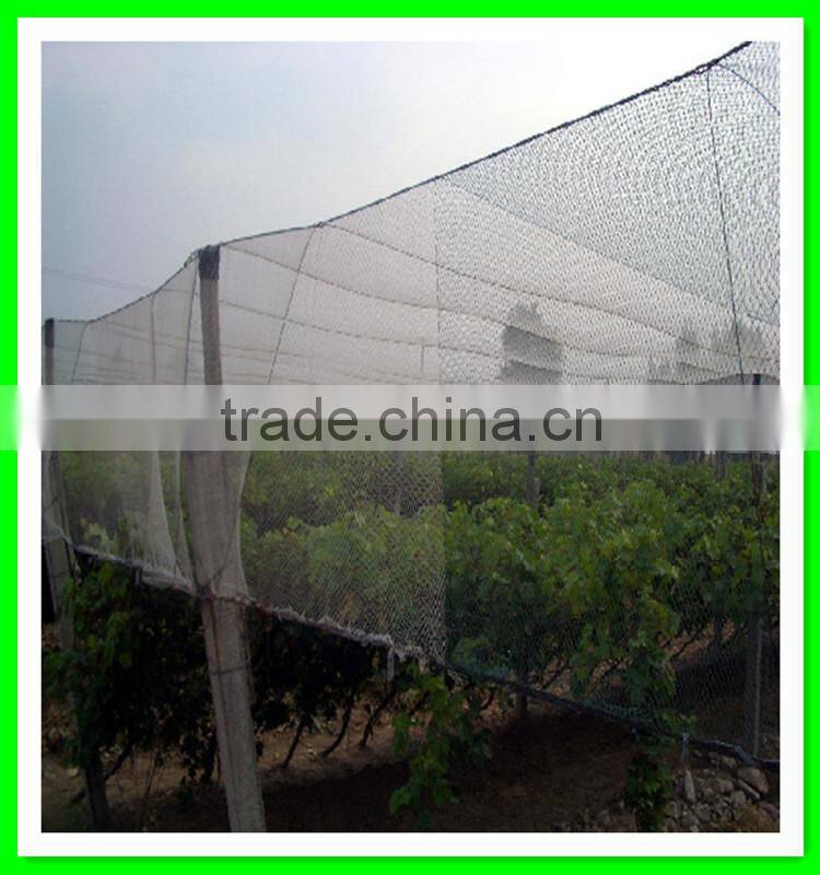 Henan Suntex supply woven anti hail net/white hail proof net/plastic hail guard net