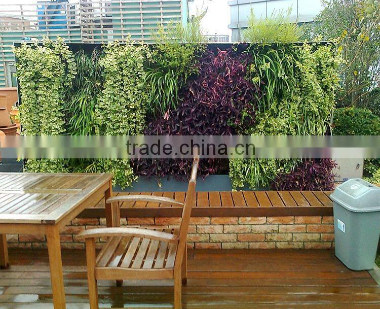 Indoor Artificial Grass Wall , Outdoor Vertical Garden Green Wall Systems
