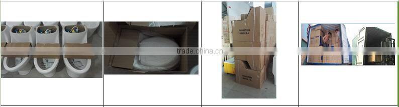 Chaozhou Cheap Siphonic One Piece s-trap sanitary ware toilet T851