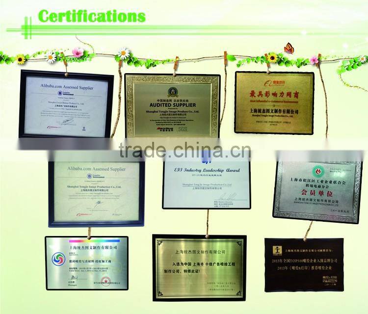 Vinyl Decorative Vinyl Temperature Sticker