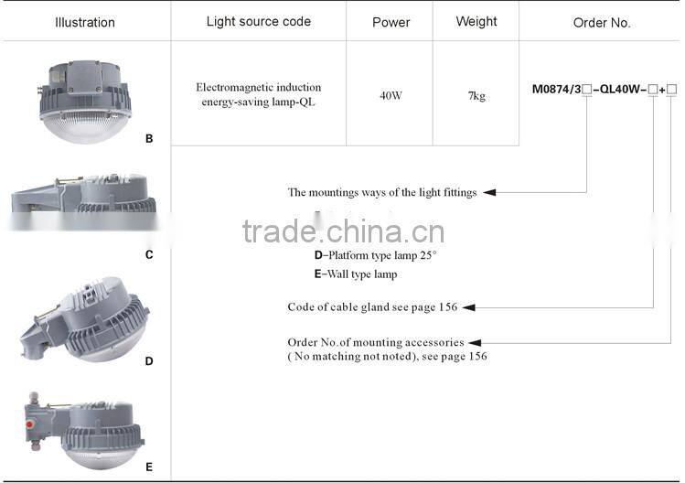 Industry Weather Proof Electromagentic Induction Energy-Saving Lamp Floodlight light fittings