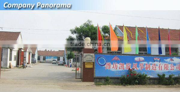 Durable Ripstop Nylon large Inflatable kite