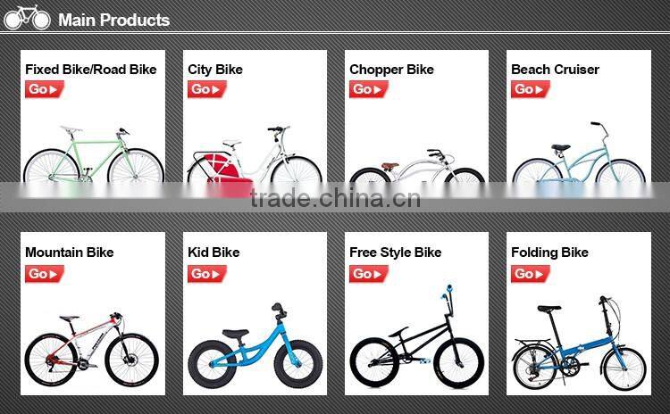 classic Dutch ladies bike /City bike (XR-L2607)