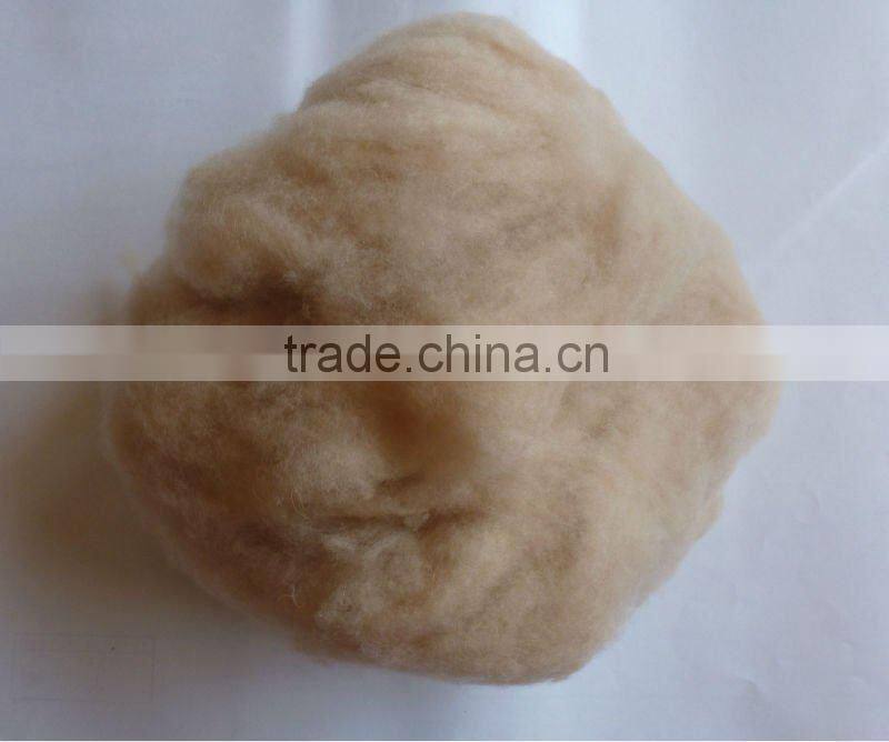 Dehaired camel hair from Alashan, Inner Mongolia