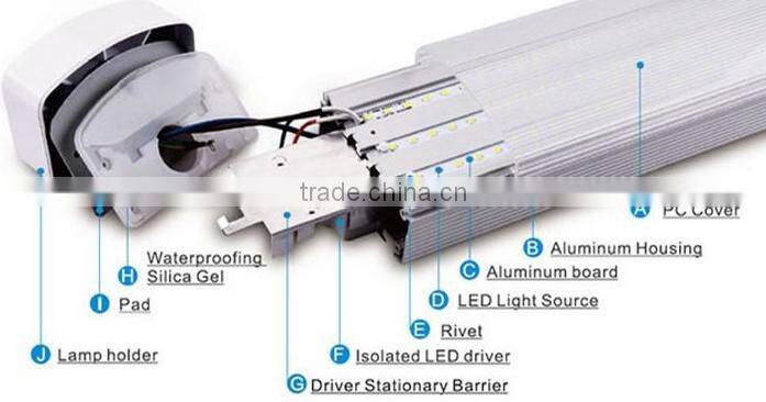 Office LED Lighting 4ft tri-proof T8 twins Fluorescent Batten Fitting