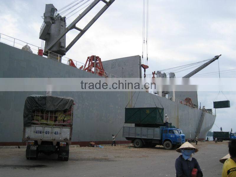 VIETNAM TAPIOCA CHIP / CASSAVA CHIP