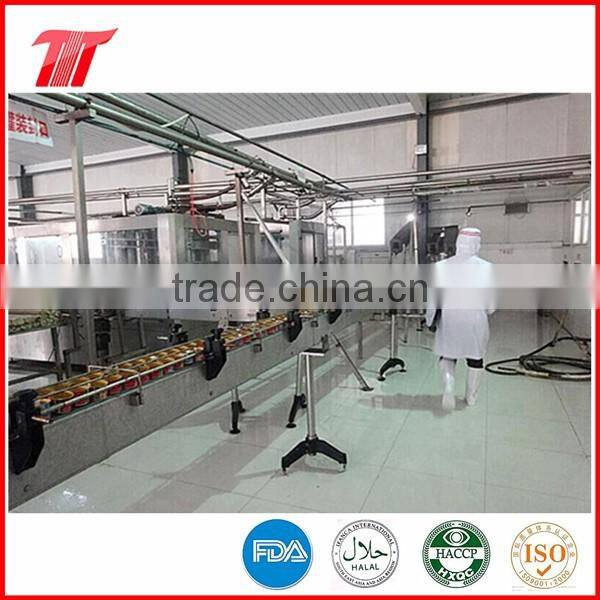 low price 56g sachet tomato paste for American market