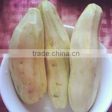 high efficiency potato peeling cutting machine/potato slicing machine