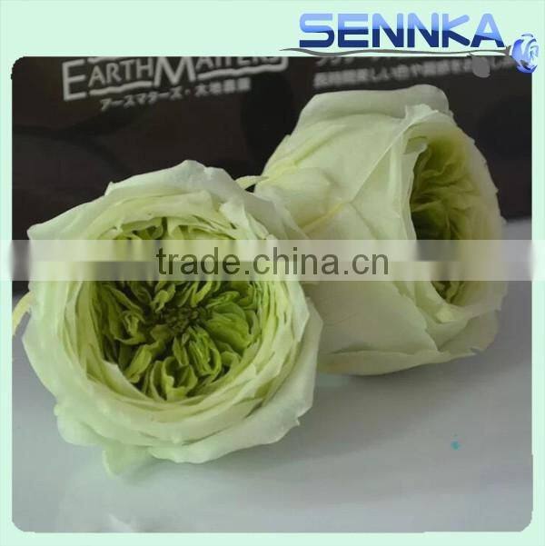 Fresh cut roses Preserved Fresh Flower Asuting Rose For Wedding Decoration