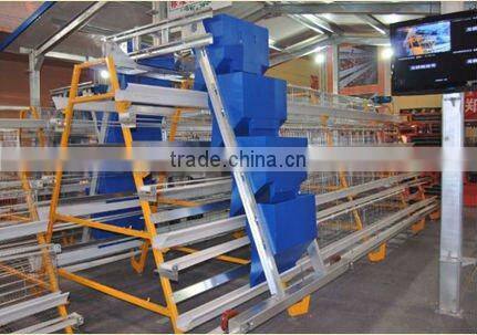 Automatic chicken feeding machine