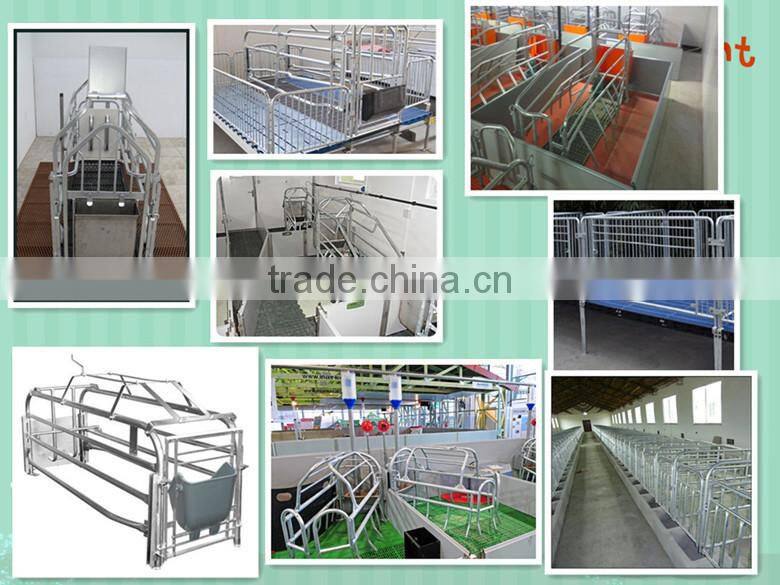 goat/sheep plastic floor for farm