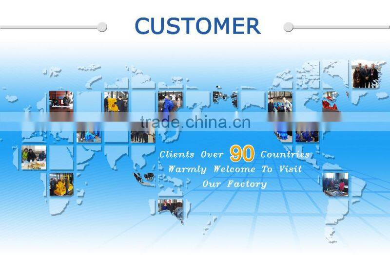 Electric water pump Diesel water pump