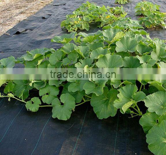 PP or PE plastic weed control mat with green line