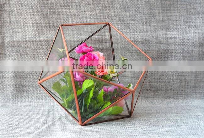 Home design clear glass terrarium succulent plants greenhouses