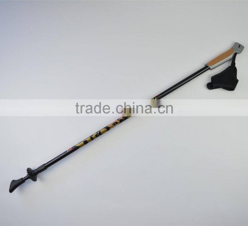 Wholesale new arrival gs approved 100% carbon nordic walking stick