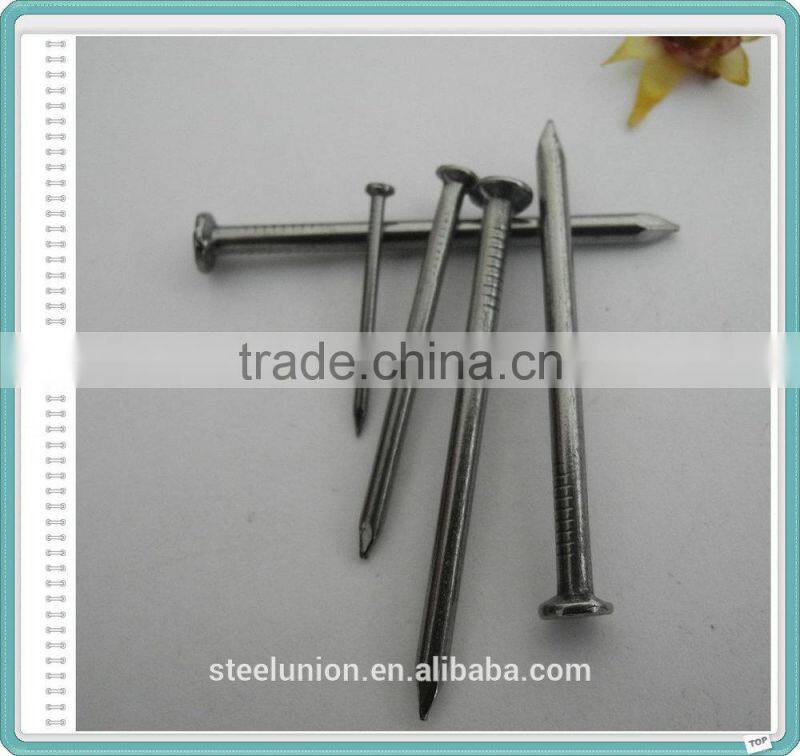 Factory Common Wire Nail/Common Nail for Construction/Common Nail