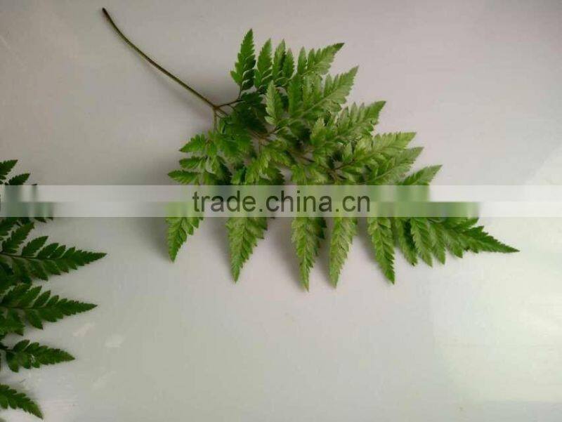 Best Selling Decorative Cut Leaf Learth Fern For Wedding Car Wholesale From YUNNAN