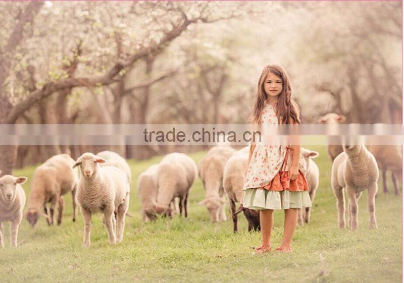 Hot Sale Baby Girls floral Dress Clothing children's cotton baby clothes infant baby girl dress girls' ruffle dress