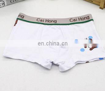 High Quality Boys Cotton Panties Cartoon Bear Printing 0-10T Children's Underwear Boy Boxer Underwear