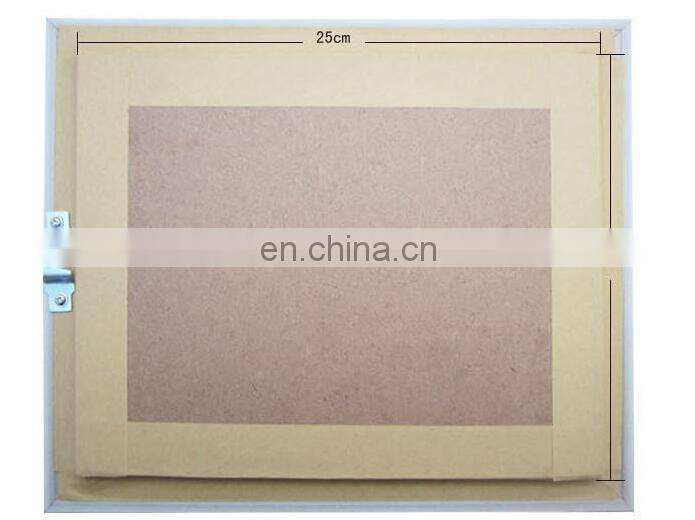 Nature real butterfly frame home decoration craft