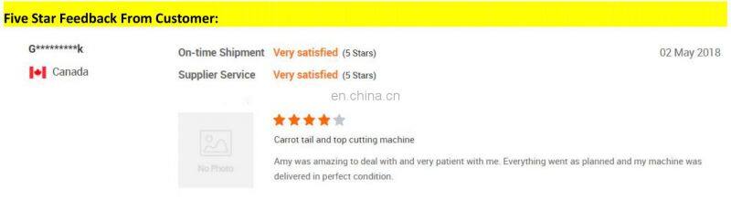 best selling ice popsicle stick making machine